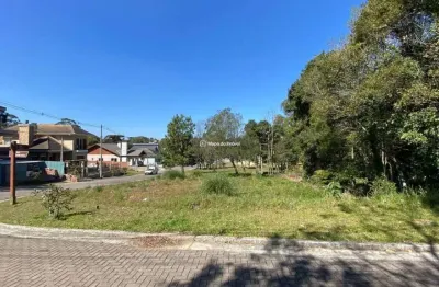Terreno à venda na acer/ cerejeira, vivendas do arvoredo, gramado por r$ 850.000