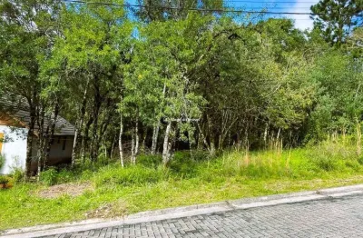 Terreno à venda na platano/ rua pessegueiro, vivendas do arvoredo, gramado por r$ 551.200
