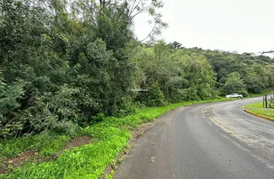 Terreno à venda na cezari vaccari, 1, alpes verdes, canela por r$ 530.000