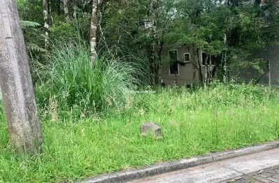 Terreno à venda na pessegueiro, vivendas do arvoredo, gramado por r$ 520.000