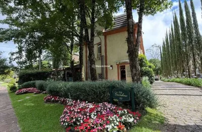 Casa em condomínio fechado com 4 quartos à venda na da Várzea, 173, Parque Laje da Pedra, Canela por R$ 2.226.000
