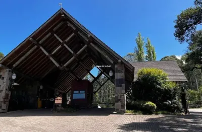 Terreno à venda na 466, 1999, parque pinheiro grosso, canela por r$ 600.000