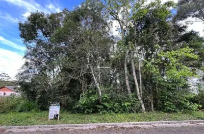 Terreno à venda na acer/ cerejeira, vivendas do arvoredo, gramado por r$ 750.000