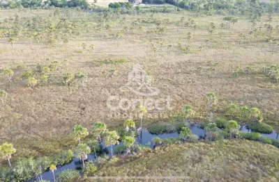 Fazenda à venda na Zona Rural, Luís Eduardo Magalhães 