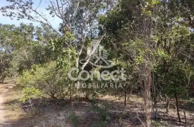 Fazenda à venda na Zona Rural, Correntina 