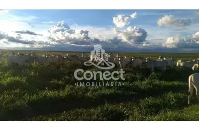 Fazenda à venda na Zona Rural, Baianópolis 