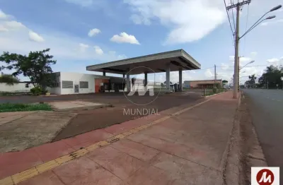 Empresa montada/ponto (empresa montada) , cozinha planejada