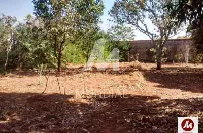 Terreno à venda na Rua Deputado Amaral Neto 0 (48524mv), Condomínio Portal dos Ipês, Ribeirão Preto