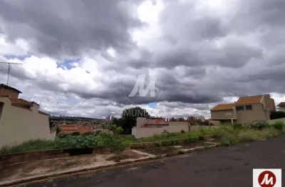 Terreno à venda na Avenida Costábile Romano 4 (18131mv), Ribeirânia, Ribeirão Preto