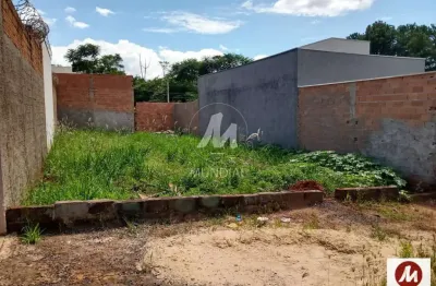 Terreno à venda na Rua Benedito Marques da Silva, Parque das Oliveiras, Ribeirão Preto