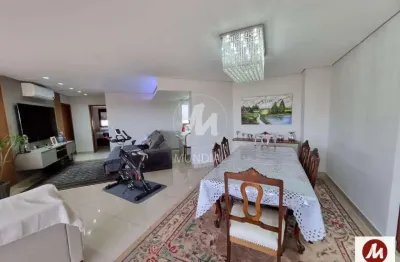 Apartamento (tipo - padrao) 3 dormitórios/suite, cozinha planejada, portaria 24hs, salão de festa, elevador, em condomínio fechado