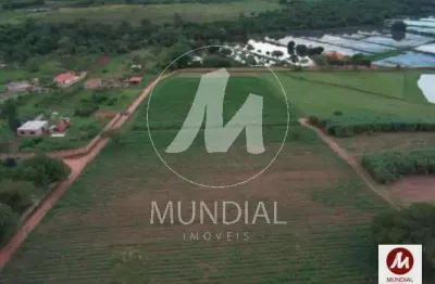 Terreno à venda na Rua Quinze De Novembro 0 (72977mv), Área Rural de Ribeirão Preto, Ribeirão Preto