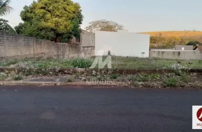Terreno à venda na Avenida Tereza Palmeira Gallon 0 (74067mv), Jardim Itaú, Ribeirão Preto