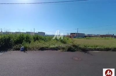 Loft para alugar no Parque Industria, Ribeirão Preto 