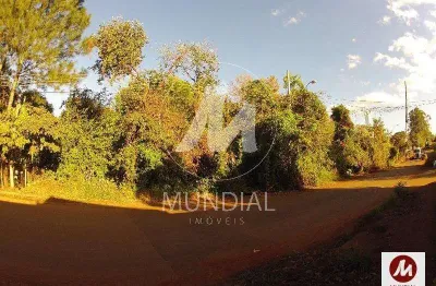 Casa comercial à venda na Avenida Tereza Palmeira Gallon 298 (52521mv), Jardim Itaú, Ribeirão Preto