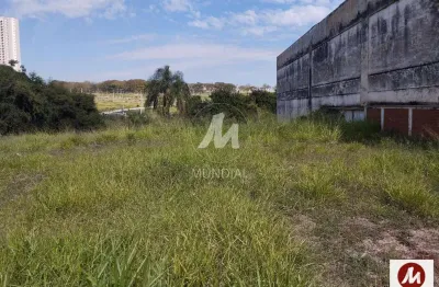 Casa comercial à venda na Rua Arnaldo Victaliano 223 (70905mv), Jardim Palma Travassos, Ribeirão Preto