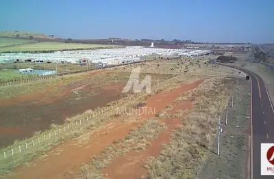 Casa comercial à venda na Rua Jose Domingos Machado 0 (73819mv), Recreio Anhangüera, Ribeirão Preto