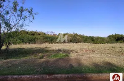 Casa comercial à venda na Rua Iria Alves 0 (68821mv), Jardim Emilia, Ribeirão Preto