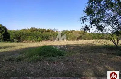 Casa comercial à venda na Rua Iria Alves 0 (68820mv), Jardim Emilia, Ribeirão Preto
