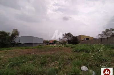 Casa comercial para alugar na Avenida Professor João Fiúsa, Alto da Boa Vista, Ribeirão Preto