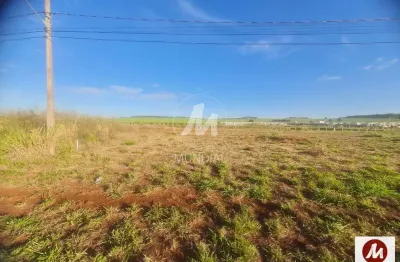 Loft à venda na Rua Jose Domingos Machado 0 (75191mv), Recreio Anhangüera, Ribeirão Preto