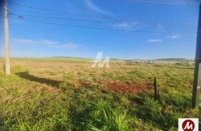 Loft à venda na Rua Jose Domingos Machado 0 (75193mv), Recreio Anhangüera, Ribeirão Preto