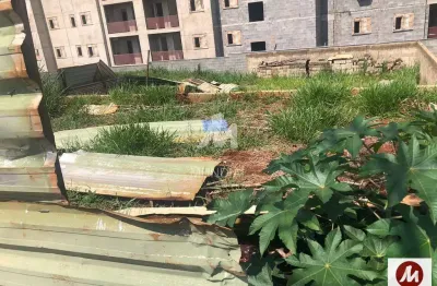 Casa comercial à venda na Rua Iria Alves 0 (69415mv), Santa Martha, Ribeirão Preto