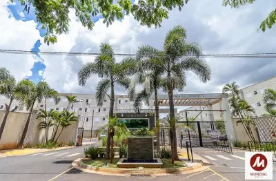 Apartamento (tipo - padrao) 2 dormitórios, lazer, espaço gourmet, salão de festa, salão de jogos, em condomínio fechado