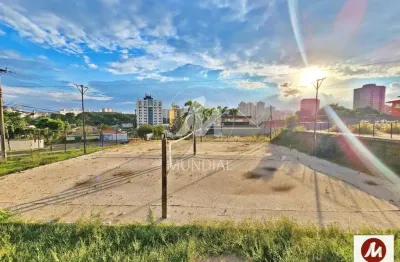 Casa comercial para alugar na Avenida Costábile Romano, Ribeirânia, Ribeirão Preto