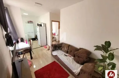 Apartamento (tipo - padrao) 2 dormitórios, cozinha planejada, portaria 24 horas, lazer, espaço gourmet, salão de festa, em condomínio fechado