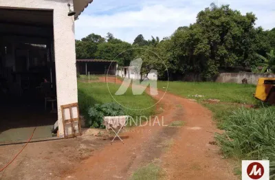 Salão/galpão (salão - térreo) 4 dormitórios, cozinha planejada