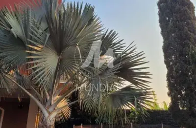 Casa comercial para alugar na Rua General Câmara, Ipiranga, Ribeirão Preto