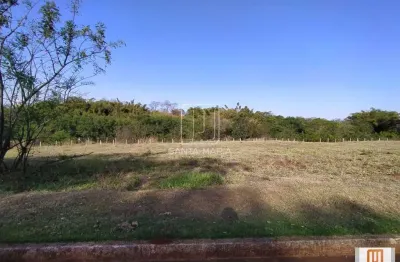 Casa comercial à venda na Rua Iria Alves 0 (68821sv), Jardim Emilia, Ribeirão Preto