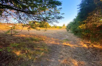 Terreno à venda, 6000 m² - videiras - indaiatuba/sp