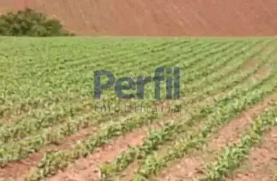 Chácara / sítio à venda no centro, soledade de minas  por r$ 1.400.000