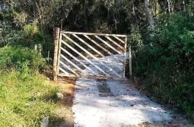 Chácara / sítio com 1 quarto à venda no rio acima, biritiba-mirim  por r$ 350.000