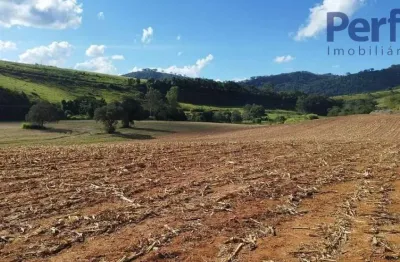 Chácara / sítio à venda no centro, soledade de minas  por r$ 850.000