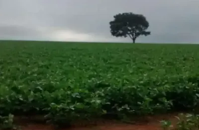 Chácara / sítio à venda na vila trujillo, sorocaba 