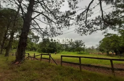 Chácara / sítio à venda na Avenida Edgar Pires de Castro, 5860, Lageado, Porto Alegre