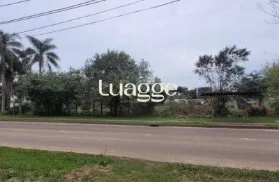Terreno à venda na Estrada Jorge Pereira Nunes, 457, Campo Novo, Porto Alegre