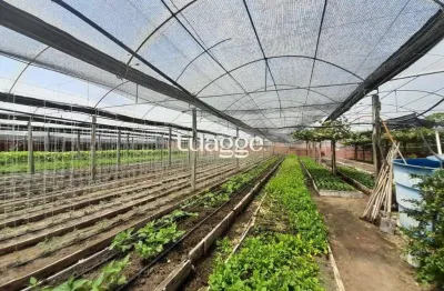 Sítio dentro de porto alegre 6.629,10 metros quadrados de área no bairro campo novo.