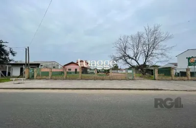 Terreno à venda na Rua das Espatódeas, 480, Ponta Grossa, Porto Alegre