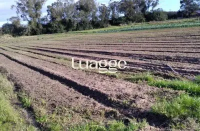 Chácara / sítio à venda na Avenida do Lami, 2752, Lageado, Porto Alegre