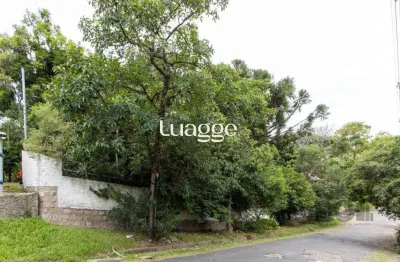 Terreno, 363.78 m², em vila conceição, em região elevada e livre de inundações