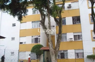 Apartamento para venda - 66m², 3 dormitórios, 1 vaga - vila nova
