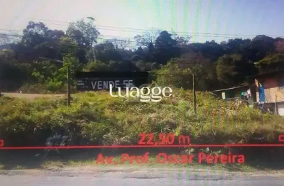 Terreno à venda na Avenida Professor Oscar Pereira, 6715, Cascata, Porto Alegre