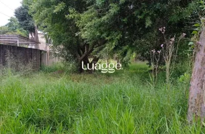 Terreno à venda na Rua Doutor Mário Totta, 2808, Tristeza, Porto Alegre