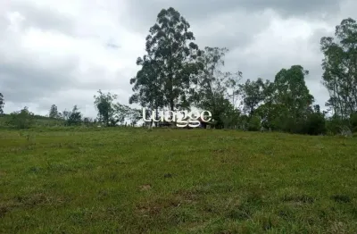 Chácara / sítio com 3 quartos à venda na Estrada Passo Do Custódio, 14552, Flórida, Guaíba