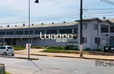 Barracão / Galpão / Depósito para alugar na Avenida Centenário, 277, Passo das Pedras, Gravataí