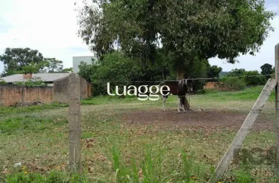 Terreno à venda na Rua Oito Mil e Dezessete, 74, Lageado, Porto Alegre